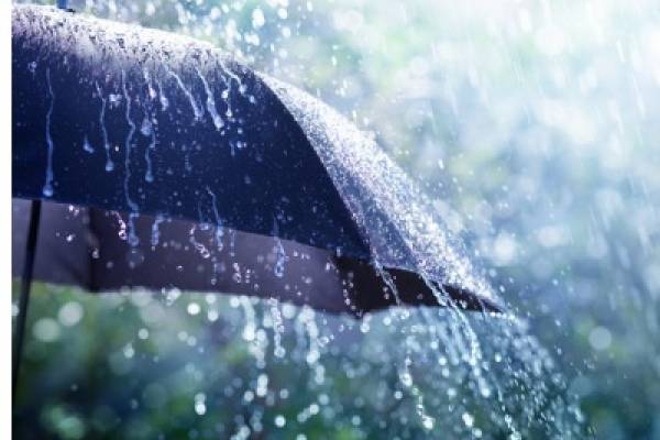 Thing To Do Rainy Day